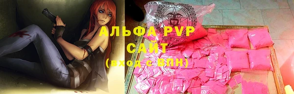индика Нягань