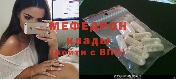 индика Нягань