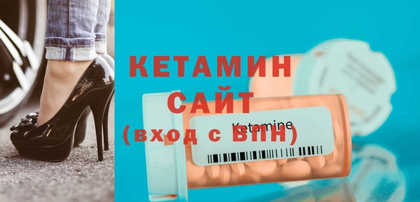 индика Нягань