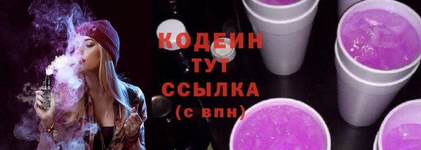 индика Нязепетровск