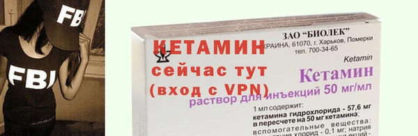 индика Нягань