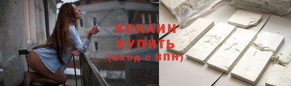 индика Нягань