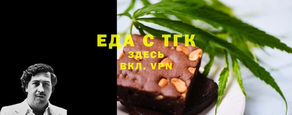 индика Нягань