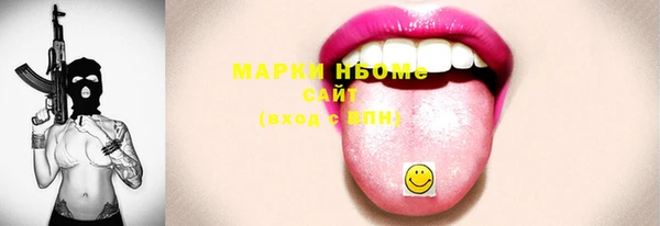 соль ск Новозыбков