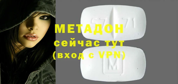 индика Нягань