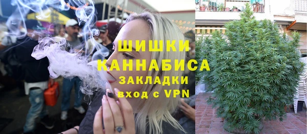 индика Нязепетровск