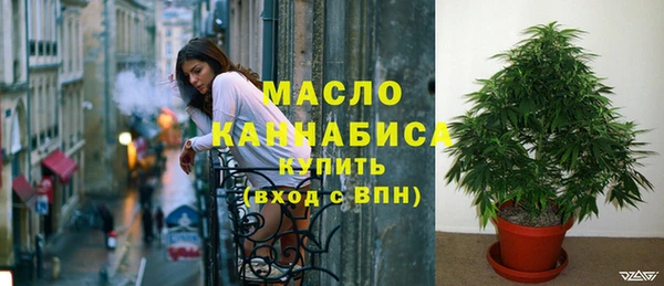 индика Нягань