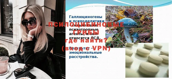 индика Нязепетровск