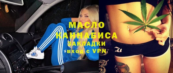 индика Нягань