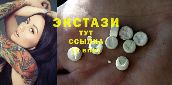 индика Нягань