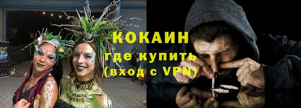 индика Нязепетровск
