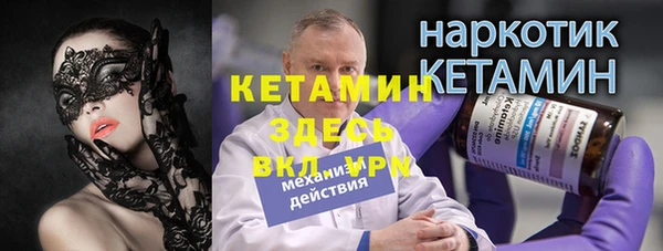 индика Нягань